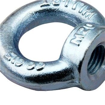 100% di ispezione prima di spedizione OEM Forgiato Acciaio Galvanizzato Lifting Eye Nuts