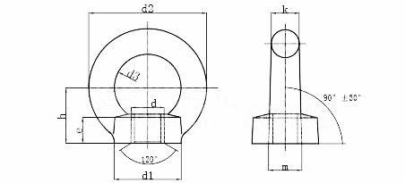 100% di ispezione prima di spedizione OEM Forgiato Acciaio Galvanizzato Lifting Eye Nuts